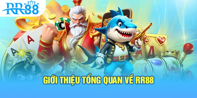 Giới Thiệu Tổng Quan Về RR88