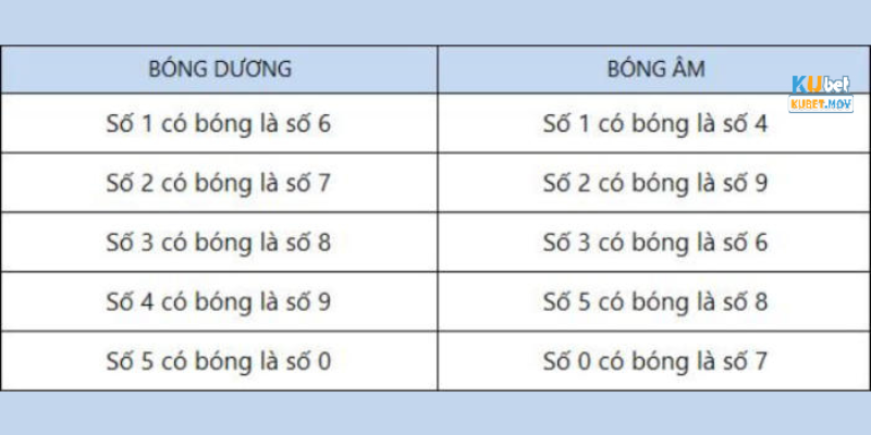 Quy ước của các chuyên gia